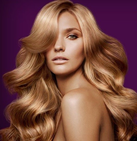 pureology-banner-kizmet