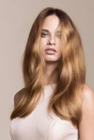2016 Hair Colour Trends Langly Park, Durham