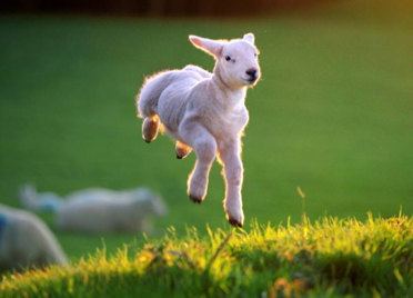 Check Out Our March Newsletter Online